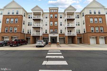24661 Woolly Mammoth Terrace #402 Aldie, VA 20105