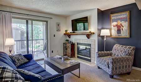 1625 Shadow Run Frontage #303 Steamboat Springs, CO 80487