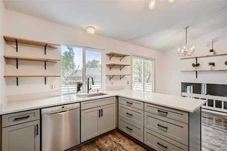 232 S Polk Ave Louisville, CO 80027