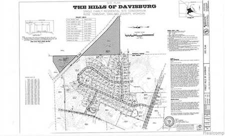 Par A Davisburg Holly, MI 48350