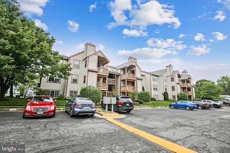6904F Victoria Dr Alexandria, VA 22310