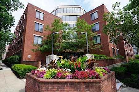 85 Brainerd Rd #213 Boston, MA 02134