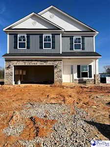2936 Wild Turkey Dr. (Lot 20) Effingham, SC 29541
