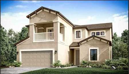 2692 Leafwing Ct Palm Harbor, FL 34683