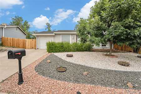 2561 E 98th Ave Thornton, CO 80229