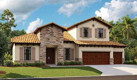 149 Mossy River Ct Brandon, FL 33511