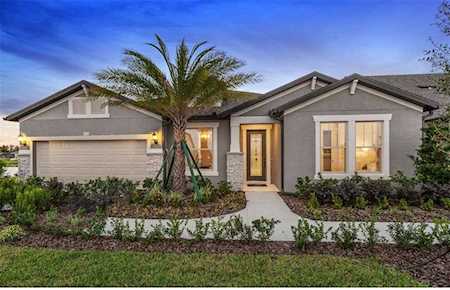 9419 Ibis Grove Blvd Wesley Chapel, FL 33545