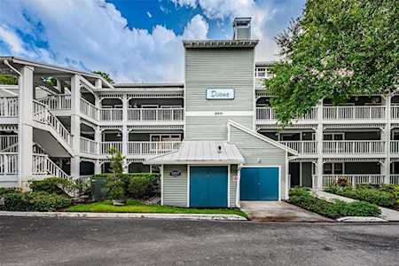 2511 Dolly Bay Dr #302 Palm Harbor, FL 34684