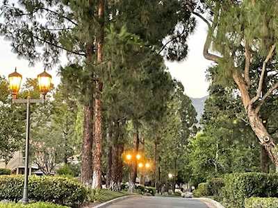 18993 Canyon Tree Dr Trabuco Canyon, CA 92679