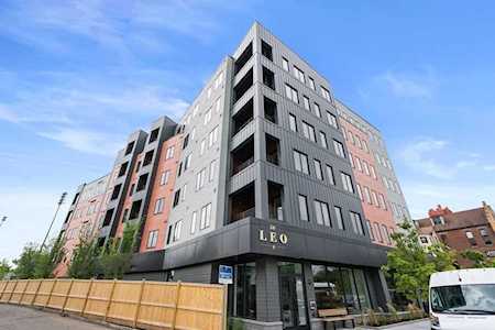 50 Leo Birmingham Parkway #403 Boston, MA 02135