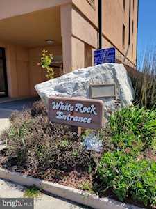 14106 Wight St #203 Ocean City, MD 21842