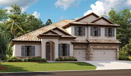 4387 Star View PLACE Brandon, FL 33511