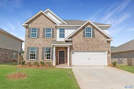 116 Holly Grove Lane Harvest, AL 35749