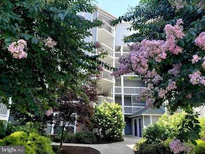 3178 Summit Square Dr #3-B7 Oakton, VA 22124