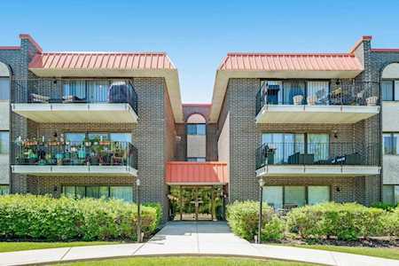 1255 W Prospect Ave #104 Mount Prospect, IL 60056