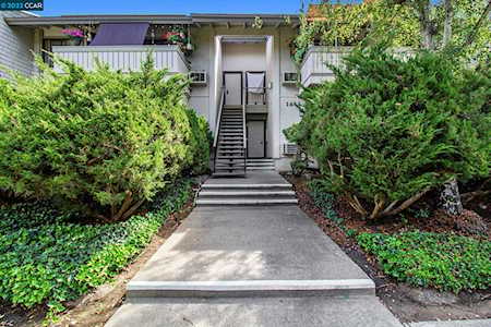 1441 Marchbanks Dr Walnut Creek, CA 94598