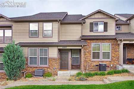 17067 blue mist Grove Monument, CO 80132