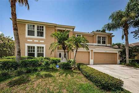 1828 Longview Ln Tarpon Springs, FL 34689