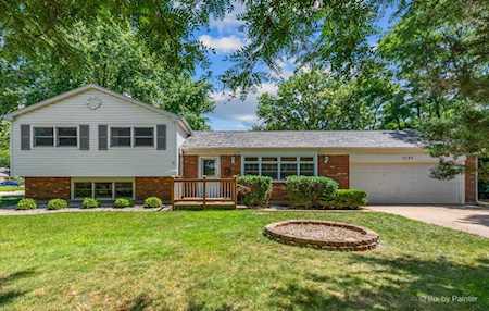 1045 Abbington Dr Crystal Lake, IL 60014