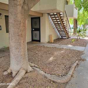 8841 N 8th Street #105 Phoenix, AZ 85020