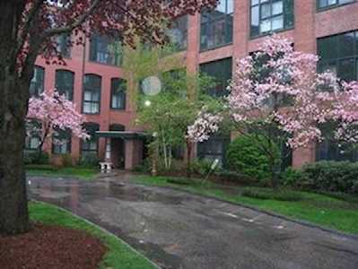 150 Rumford Avenue #407 Mansfield, MA 02048