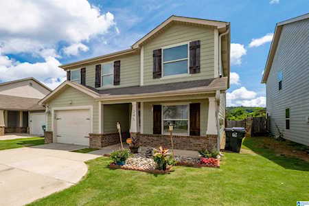 245 Morning Mist Lane Odenville, AL 35120