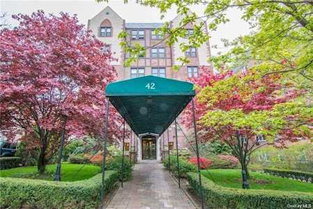 42 Barker Avenue #1F White Plains, NY 10601