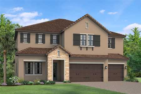 19825 Cypress Bridge Dr Odessa, FL 33556
