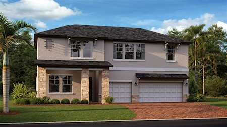 21244 Snowy Orchid TERRACE Land O Lakes, FL 34637