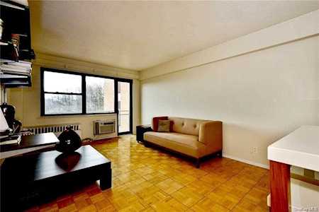 155 Ferris Avenue #10-F White Plains, NY 10603