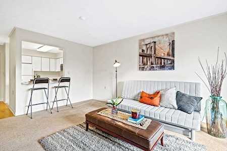 100 Rosemary Way #203 Needham, MA 02494