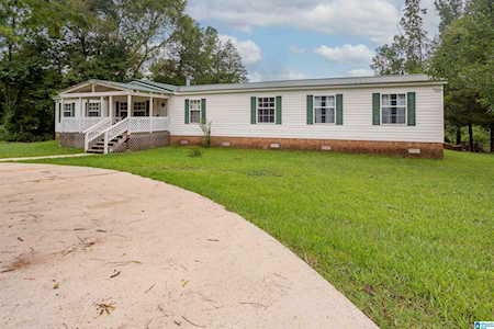 1140 Shore Drive Ashville, AL 35953