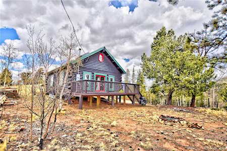 253 Bear Ln Como, CO 80432