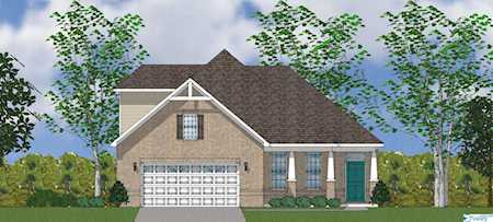 14160 Grey Goose Lane Harvest, AL 35749