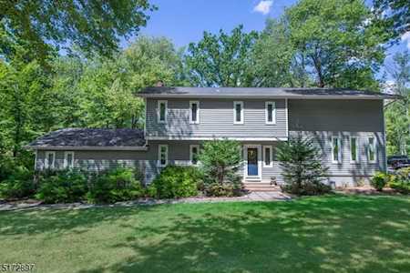 7 Drum Hill Ln Randolph Twp., NJ 07869