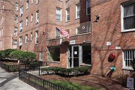 1480 Thieriot Avenue #4B Bronx, NY 10460