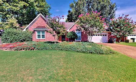 976 Bonniebrow Cv Memphis, TN 38018