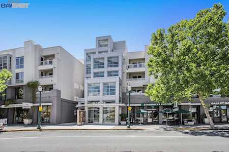 1655 N California Blvd Walnut Creek, CA 94596