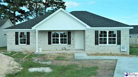 3063 Red Berry Circle Effingham, SC 29541