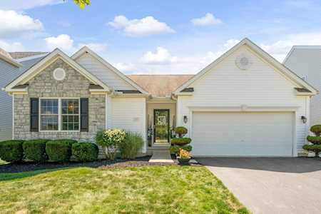 287 Dovetail Drive Lewis Center, OH 43035