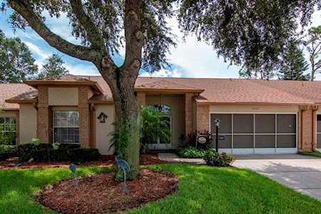 9750 Sweeping View Dr New Port Richey, FL 34655