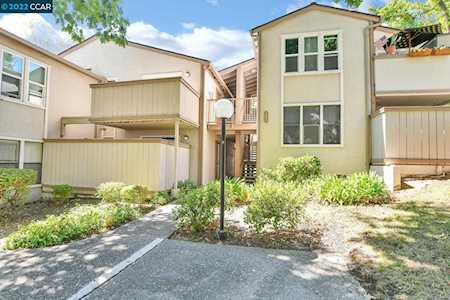 385 Camelback Rd. Pleasant Hill, CA 94523