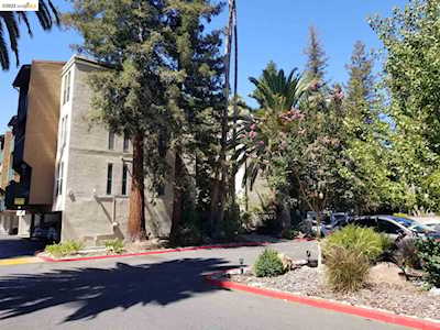 1240 Walker Ave Walnut Creek, CA 94596
