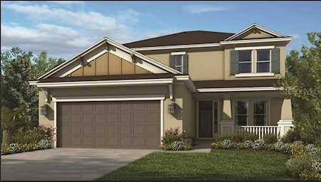 2773 Leafwing Ct Palm Harbor, FL 34683