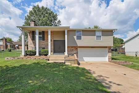 237 Golden Valley Dr St Louis, MO 63129