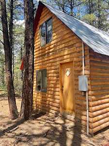 167 Dave's Place Pagosa Springs, CO 81147
