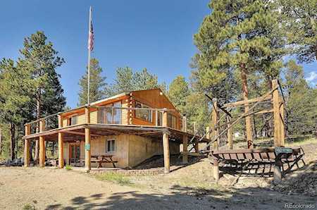 1195 Singletree Rd Hartsel, CO 80449