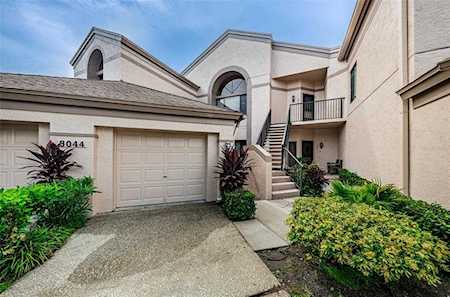 3044 Red Oak Ct #101 Palm Harbor, FL 34684