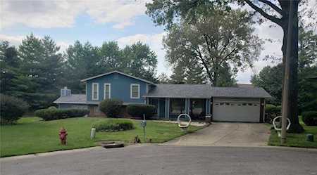59 S Meadow Ln Glen Carbon, IL 62034