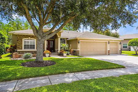 8515 Fenholloway Ct Trinity, FL 34655